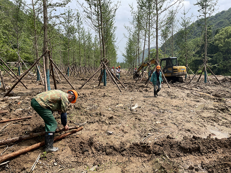 龍?zhí)夺靶印备Ａ止こ?jpg