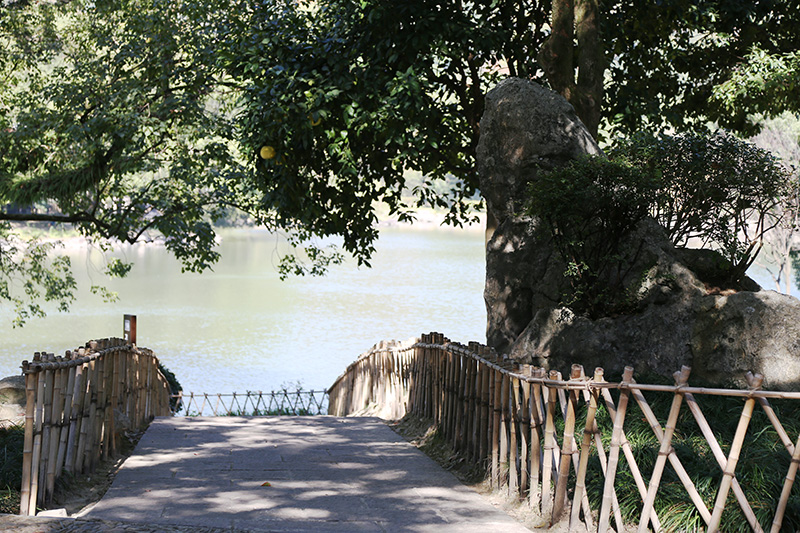 養(yǎng)護工程 (6).jpg